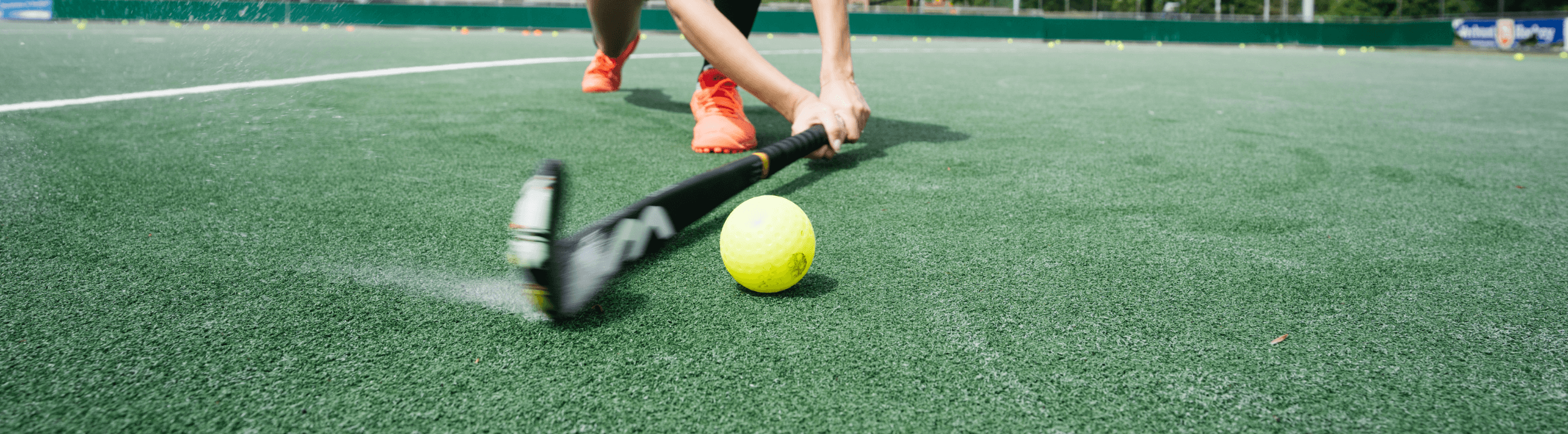 Hockey Balls | Total Hockey