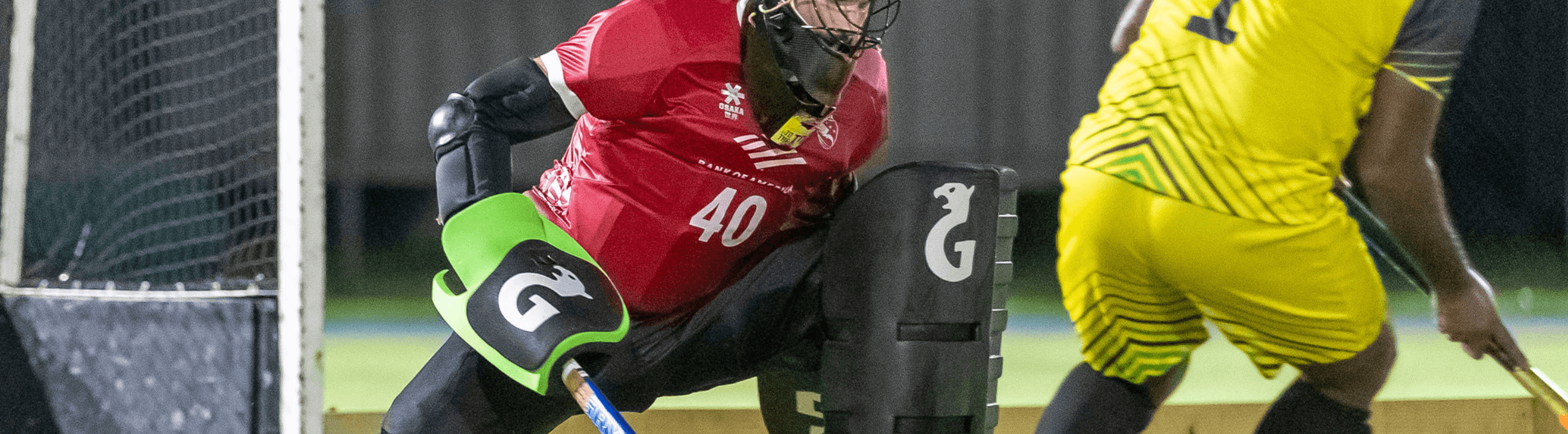 Gryphon Goalkeeping Kit