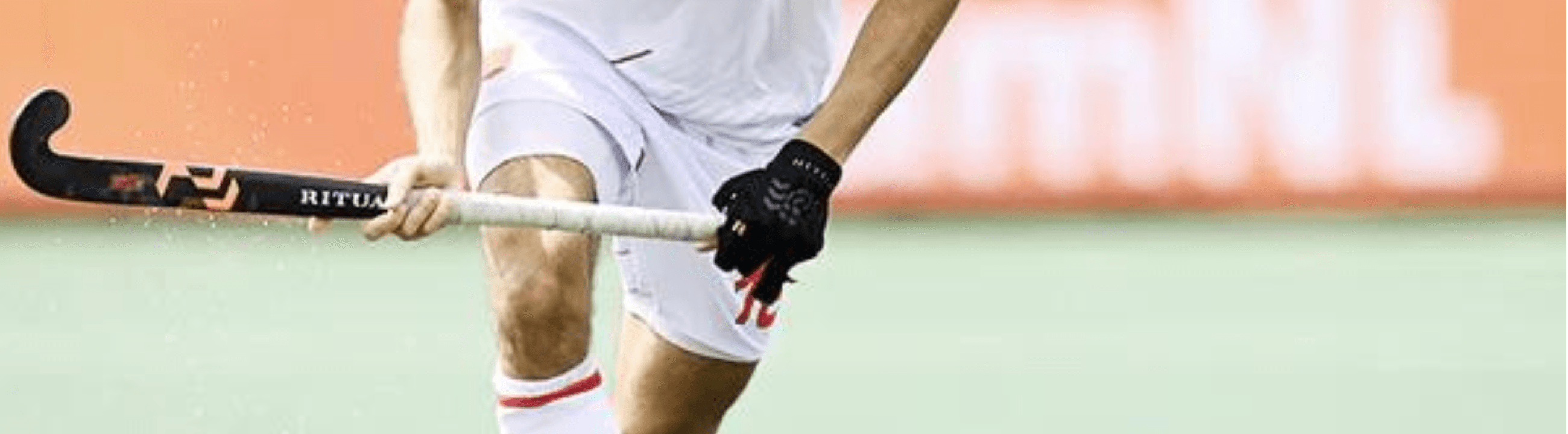 Hockey Gloves