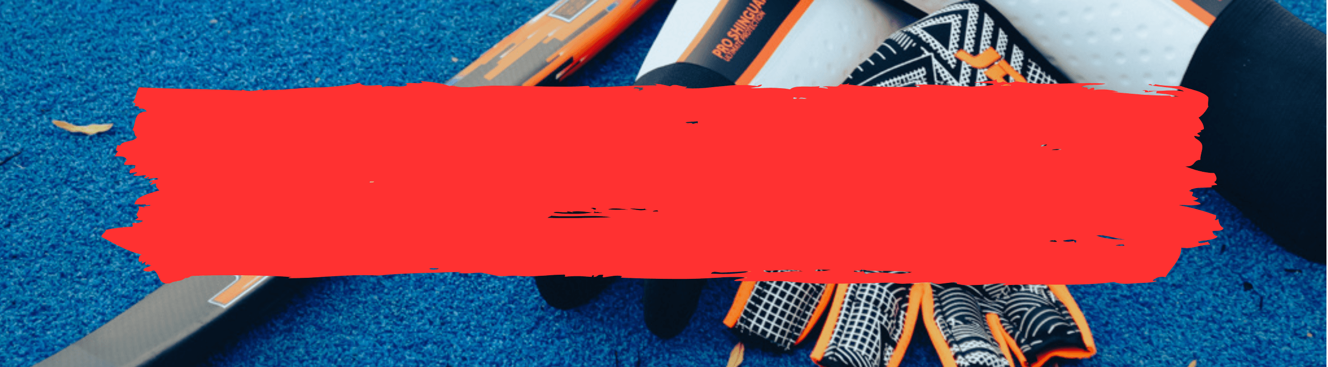 JDH Sale Hockey Protections