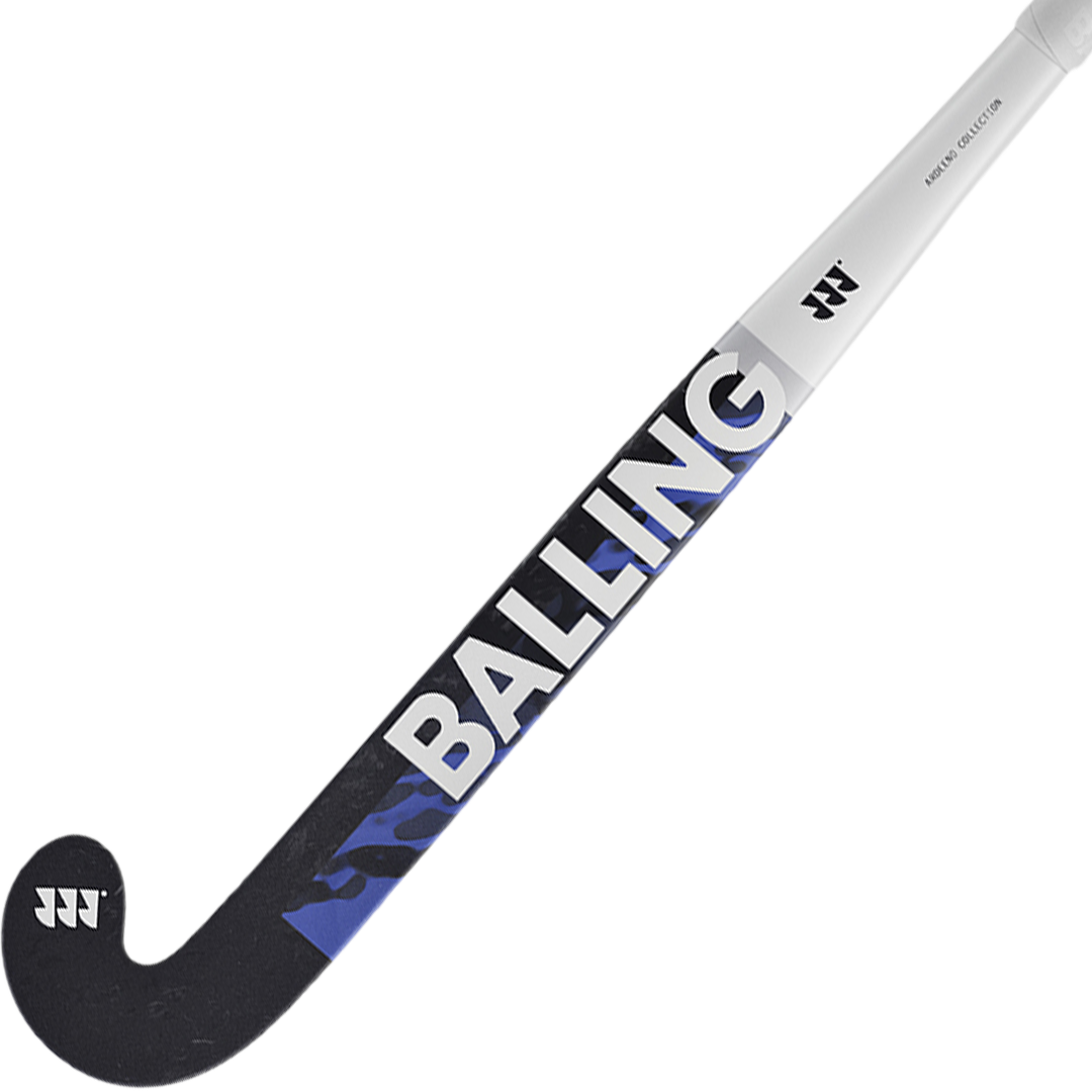 Evo 40 Probow (2025)