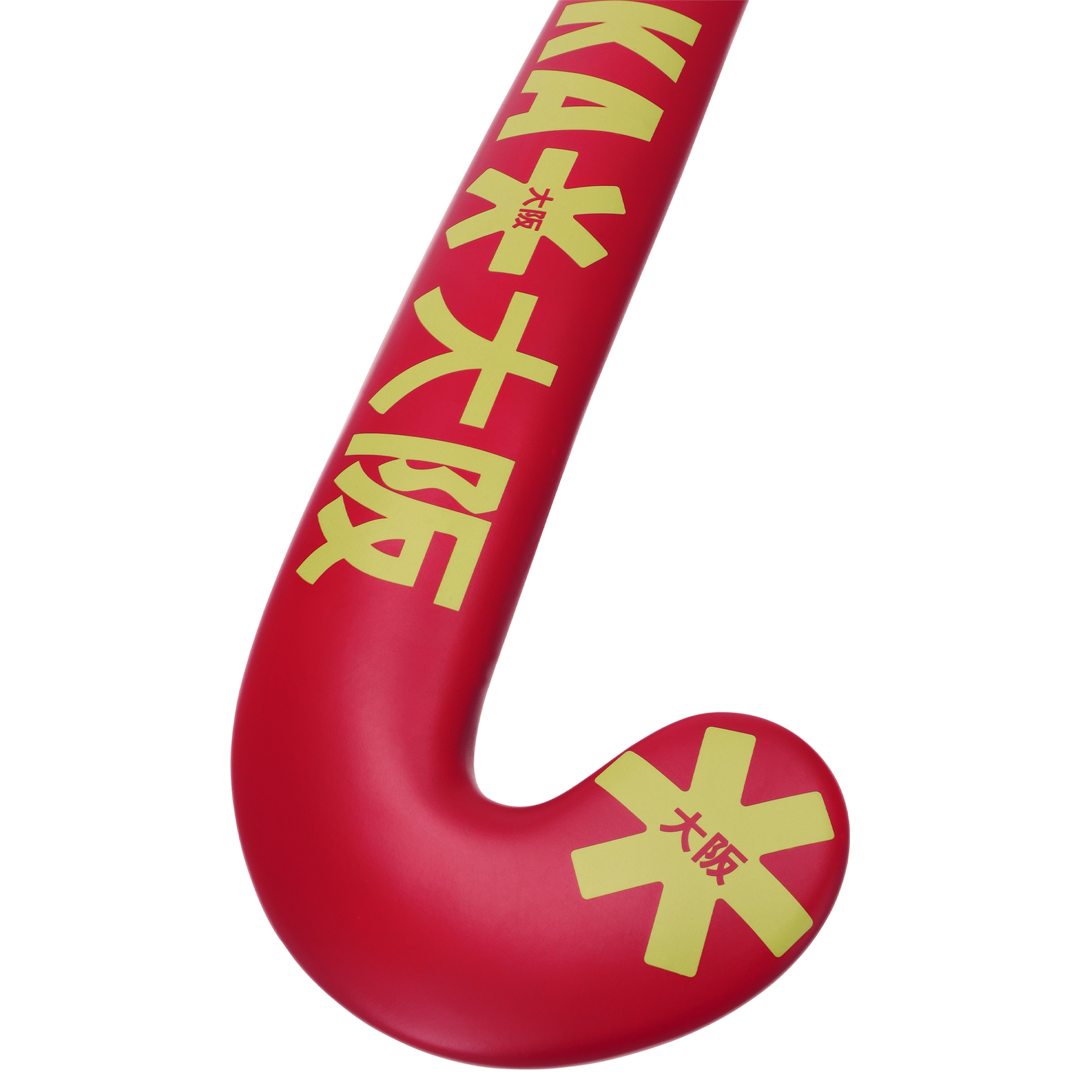 Indoor Pro Bow 10 (2025)